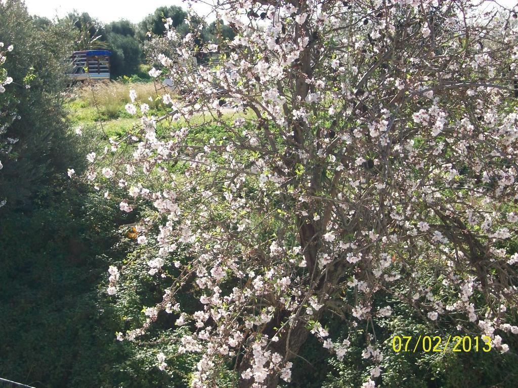 Casa Vacanze Mandorlo In Fiore * Avola